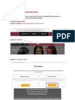 Instructivo Acceso Plataformas PDF