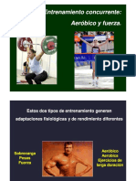 Entrenamiento Concurrente - Darío Cappa.pdf
