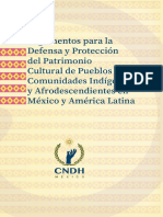 CNDH (2019) Argumentos-Indigenas-Afrodescendientes.pdf