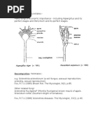 Ascomycetes