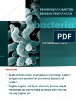 New Pemeriksaan Bakteri DG Pewarnaan - 2017-1