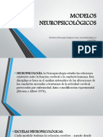 MODELOS NEUROPSICOLÓGICOS