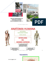 Miología - Osteología Del Miembro Superior - 2020 PDF