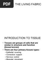 Tissue: The Living Fabric