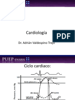 Cardio-1-Diapos