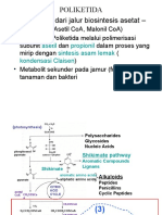 Poliketida Dan Asam Lemak