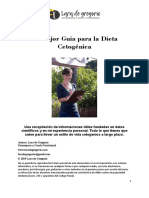E Book Estilo de Vida Cetogenico Word PDF