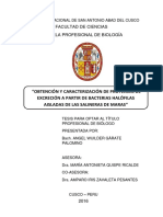TC-OBTENCIÓN Y CARACTERIZACIÓN DE PROTEASAS DE EXCRECIÓN A PARTIR DE BACTERIAS HALÓFILAS    AISLADAS DE LAS SALINERAS DE MARAS.pdf