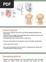 Anatomi dan Fisiologi Appendix Manusia | PDF