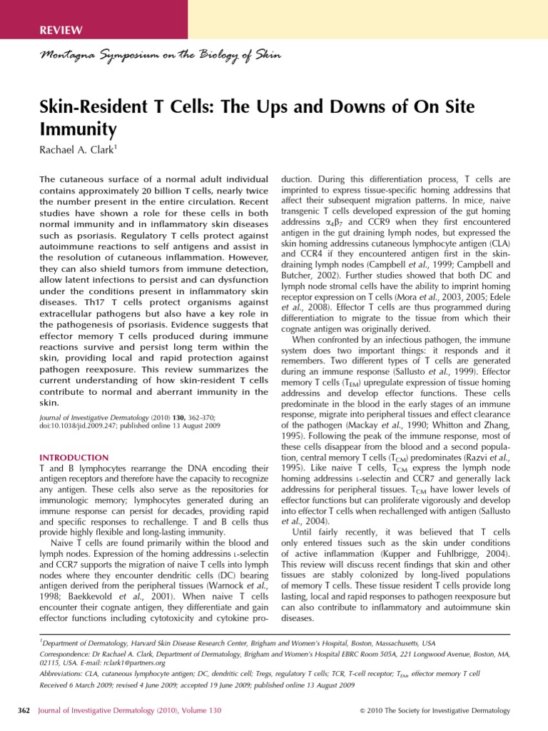 Skin T Cells: Immunity and Inflammation Insights | PDF | T Cell ...