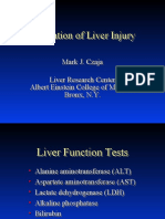 Evaluation of Liver Injury Evaluation of Liver Injury