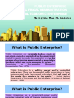 Public Enterprise, GOCCs, Local Fiscal Administration, and Local Economic Enterprise