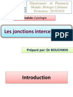 Cours, DR, Bouchikhi, Jonction, Intercell PDF