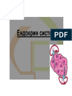 Endokrin Sistem 1 PDF