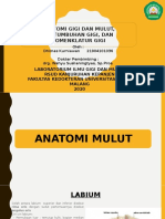 Anatomi Gigi Dan Mulut, Pertumbuhan Gigi, Dan Nomenklatur Gigi-1