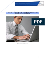Funciones Gerente de Proyectos FADEIS PDF