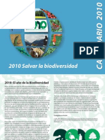 PDF rio Pared 2010 Web