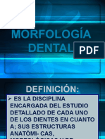Morfologia Generalidades Tema I