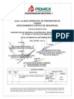 PTRI GTO DSSSTPA 0105 Prevención de Caídas