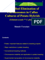 Controlled Elimination of Chromosomes in Callus Cultures of Potato Hybrids