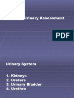 Genito-Urinary Assessment