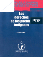 DerechosDeLosPueblosIndigenas PDF