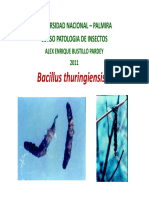 CONF Bacillus Thuringiensis I (Modo de Compatibilidad) PDF
