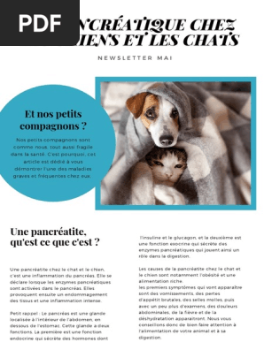 Newsletter Mai Pancreas Cancer Du Pancreas