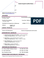 Geniel Castillo Curriculum.doc