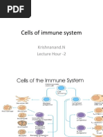 Overview of the Immune System | PDF | Immune System | Antigen