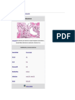 enfermedades.pdf