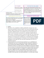 Tema.pdf