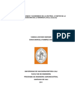 Análisis_Económico_Naranja_Acevedo_2011.pdf