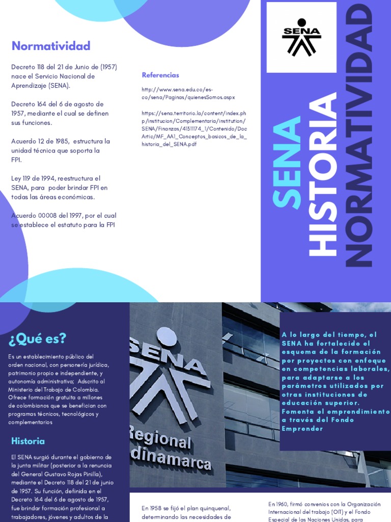Plegable Laura Rondón PDF | PDF | Economias | Educación avanzada
