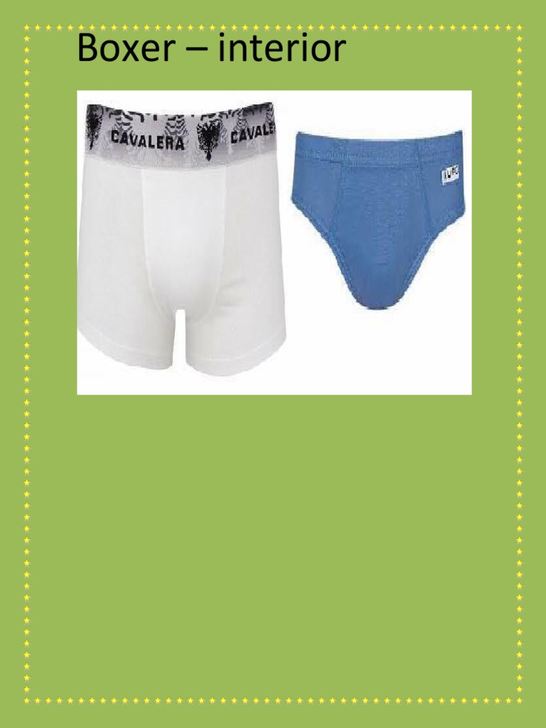 Boxer | PDF