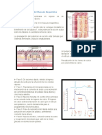 Potencial de Accion Del Musculo Esqueletico