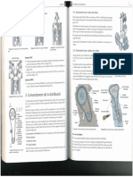 Distribucion 2