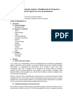 Informe 4 UNCINARIASIS FALTA CUESTI