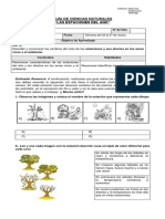 Guía Número 1 Ciencias Naturales 2 Básico