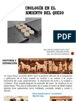 Tecnologia en la elaboracion de queso 2019 B (1).pdf