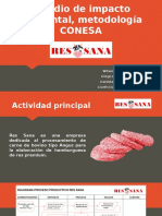 Estudio de Impacto Ambiental, Metodología CONESA