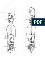 SISTEMA DIGESTIVO