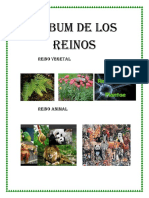 Albun Reinos Animal y Vegetal