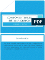 COMPONENTES DEL SISTEMA GESTOR DE BASE DE DATOS (1)