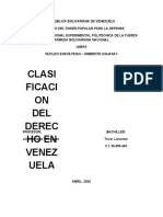 Clasificacion Del Derecho