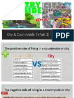 City Countryside 5 (Comparative) PDF