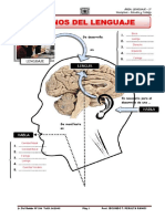 FUNCIONES DEL LENGUAJE-resuelto.pdf