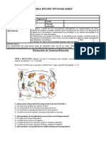 Prueba Unidad 2 Leccion 1 6° Ciencias