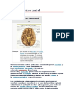 Sistema Nervioso Central