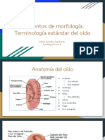 Elementos de Morfología de La Oreja